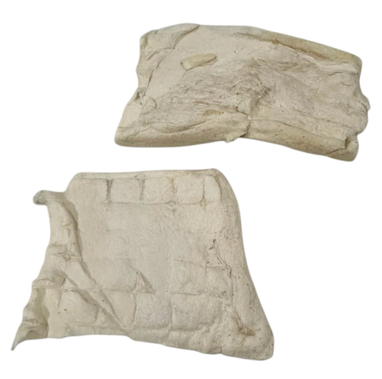 Beef Cheek Chips 4" x 4"