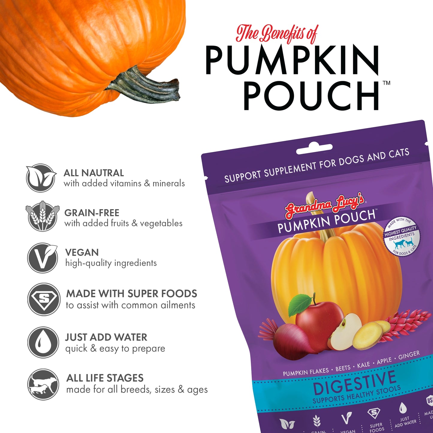 Grandma Lucy's - Pumpkin Pouch Digestive - 6oz