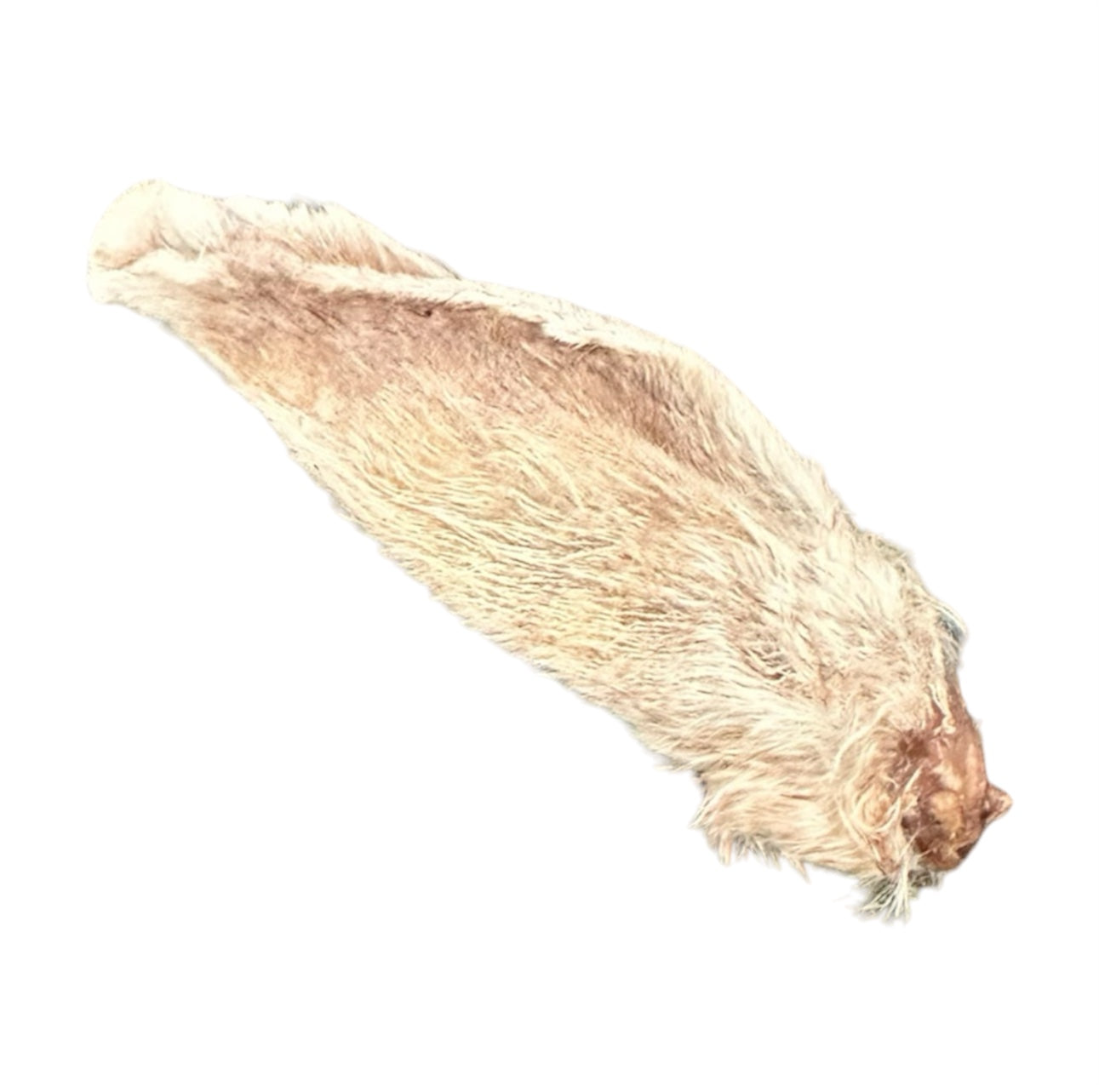 Rabbit Ear - 1 Rabbit Ear