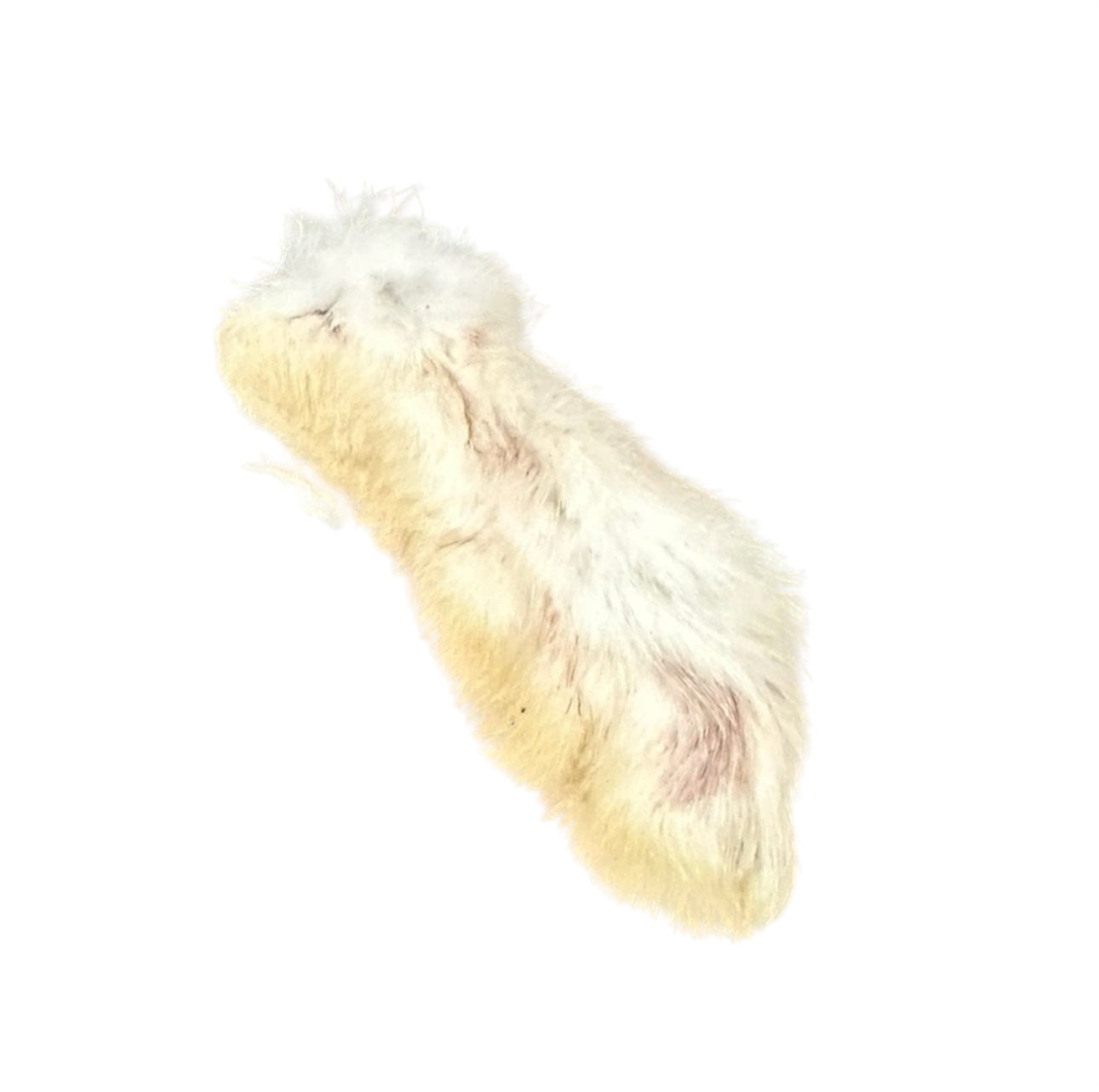 Rabbit Feet - 1 Rabbit Foot