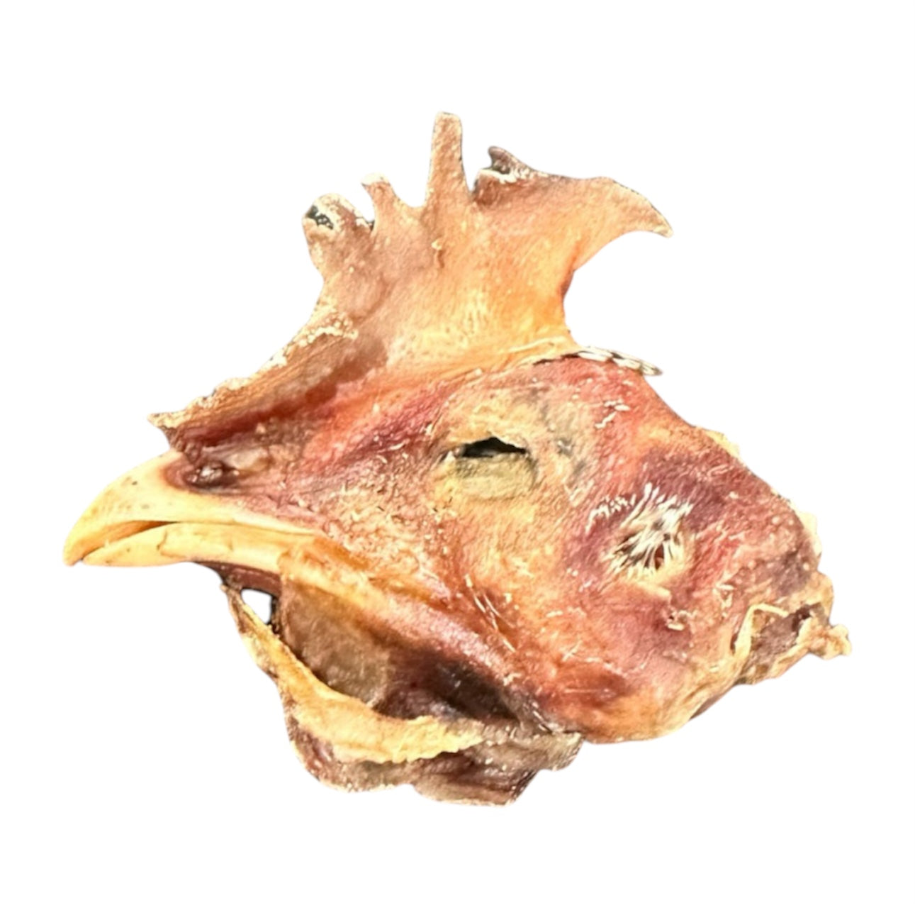 Chicken Head - 1 Chicken Head