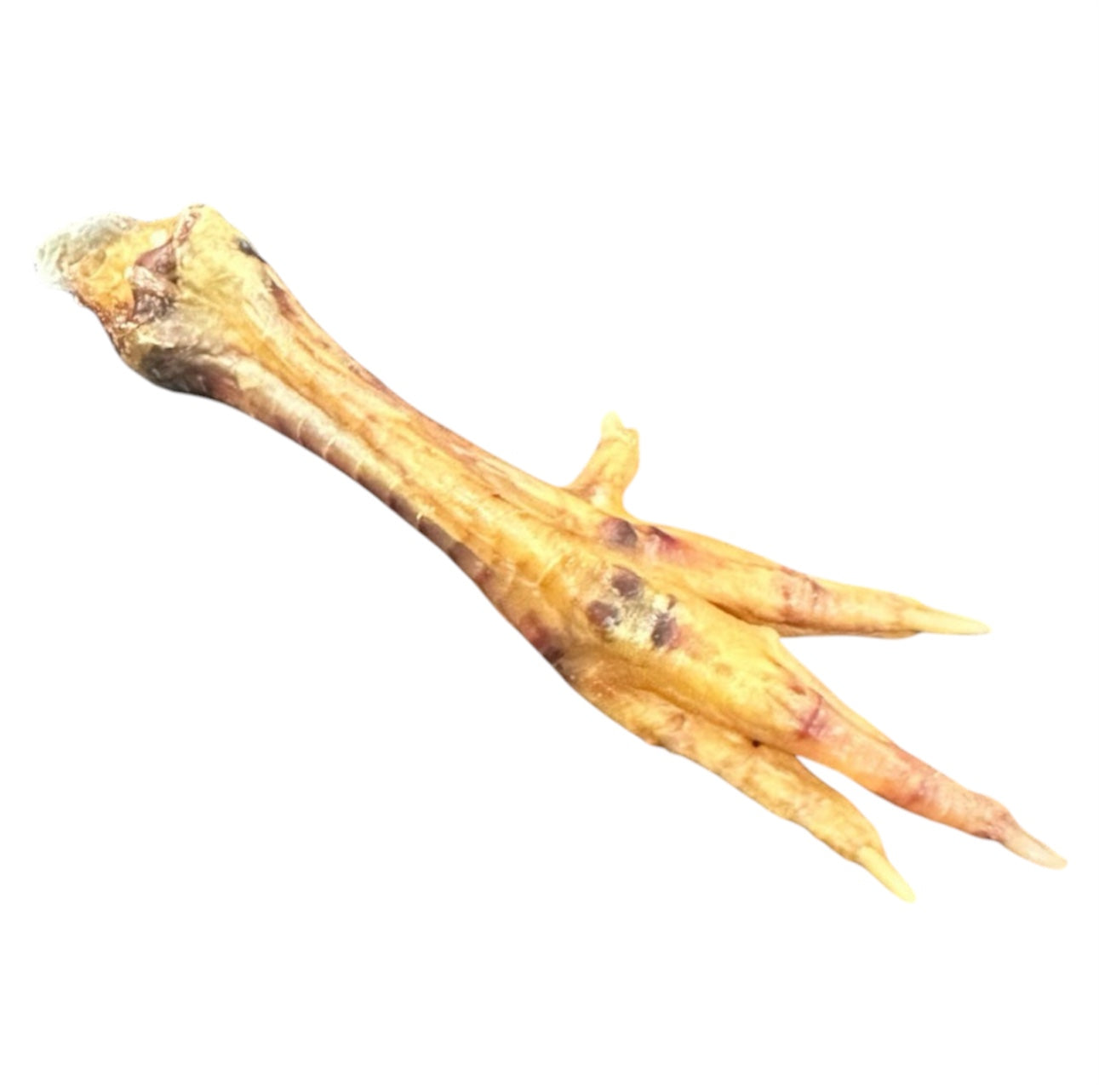Chicken Foot - 1 Chicken Foot