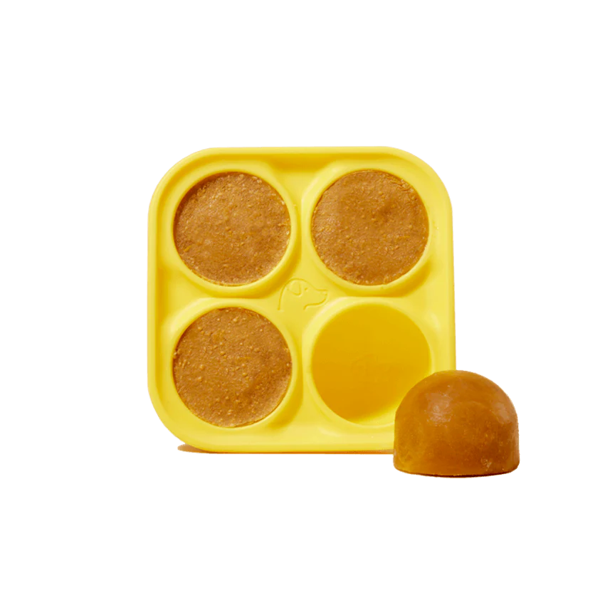 Pupsicle Treat Tray (LARGE)