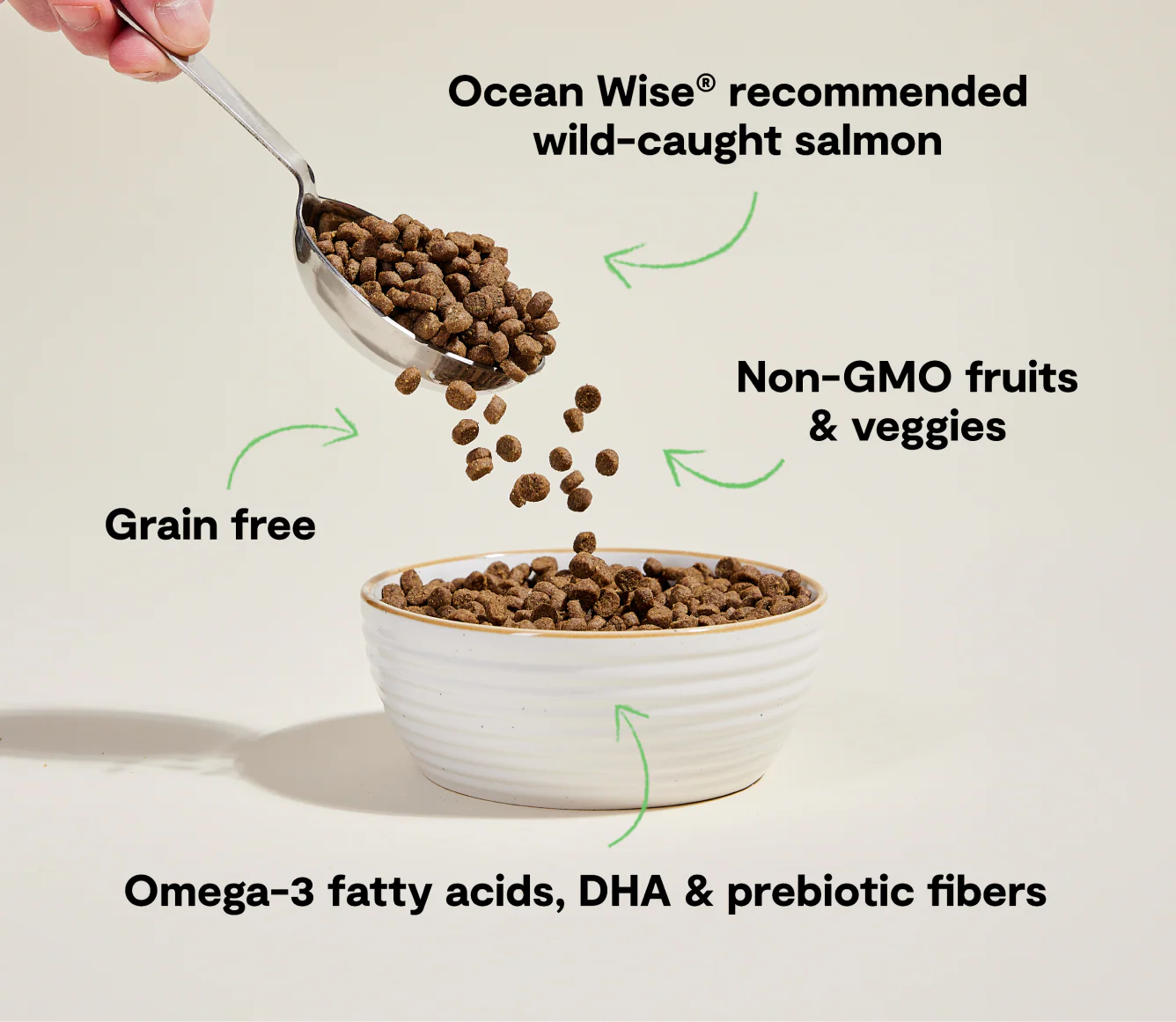 Open Farm Wild-Caught Salmon Grain-Free Cat Kibble 2LB