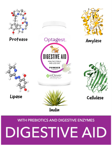 InClover Optagest Digestive Aid- 7oz Packet