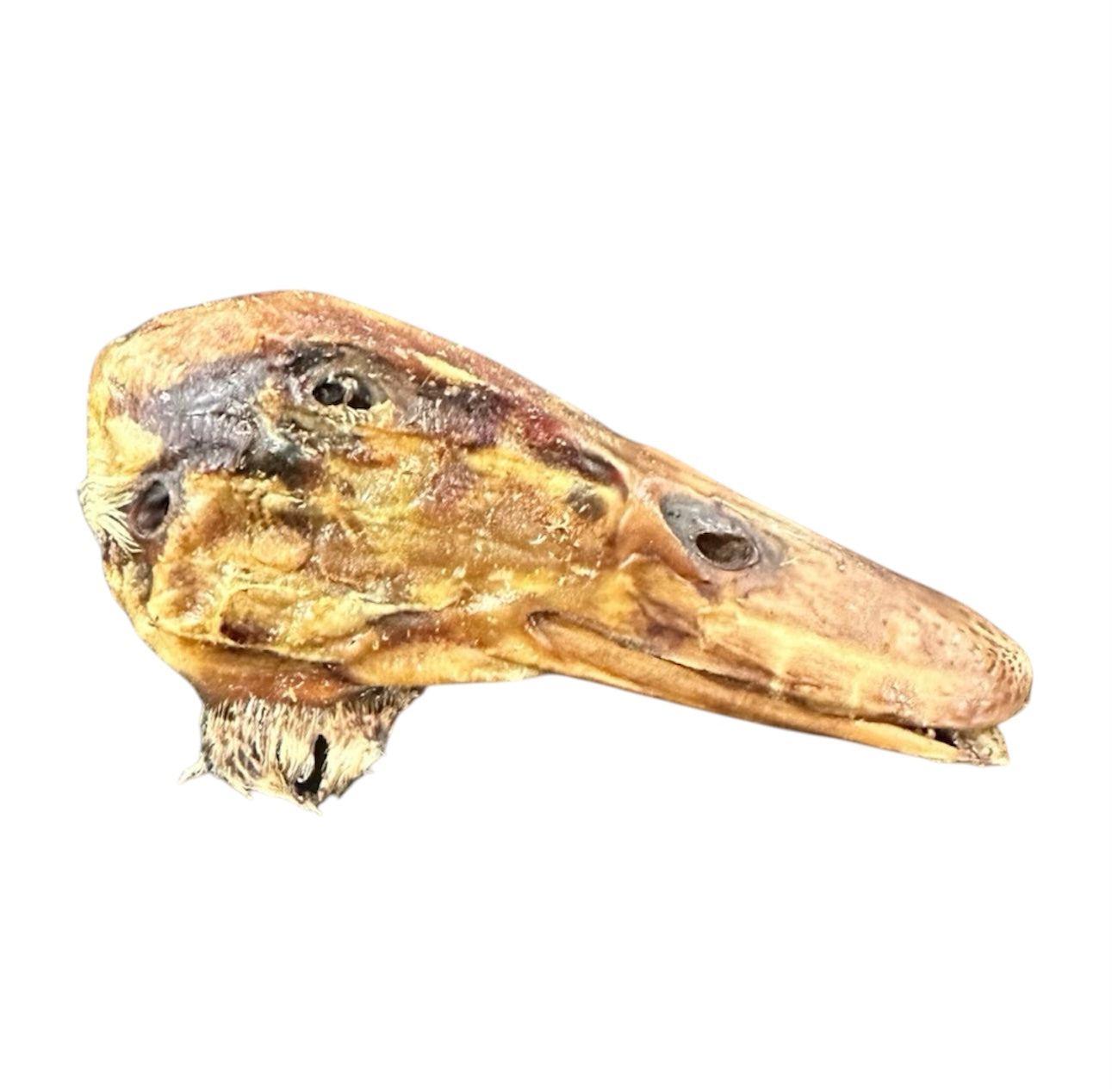 Duck Head - 1 Duck Head