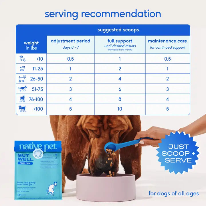 Native Pet Gutwell Power Poop Digestion Support Supplement