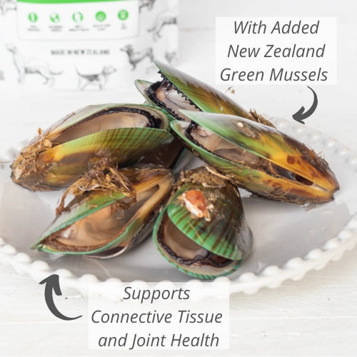 Woof - New Zealand Green Lipped Mussel Dog Treat