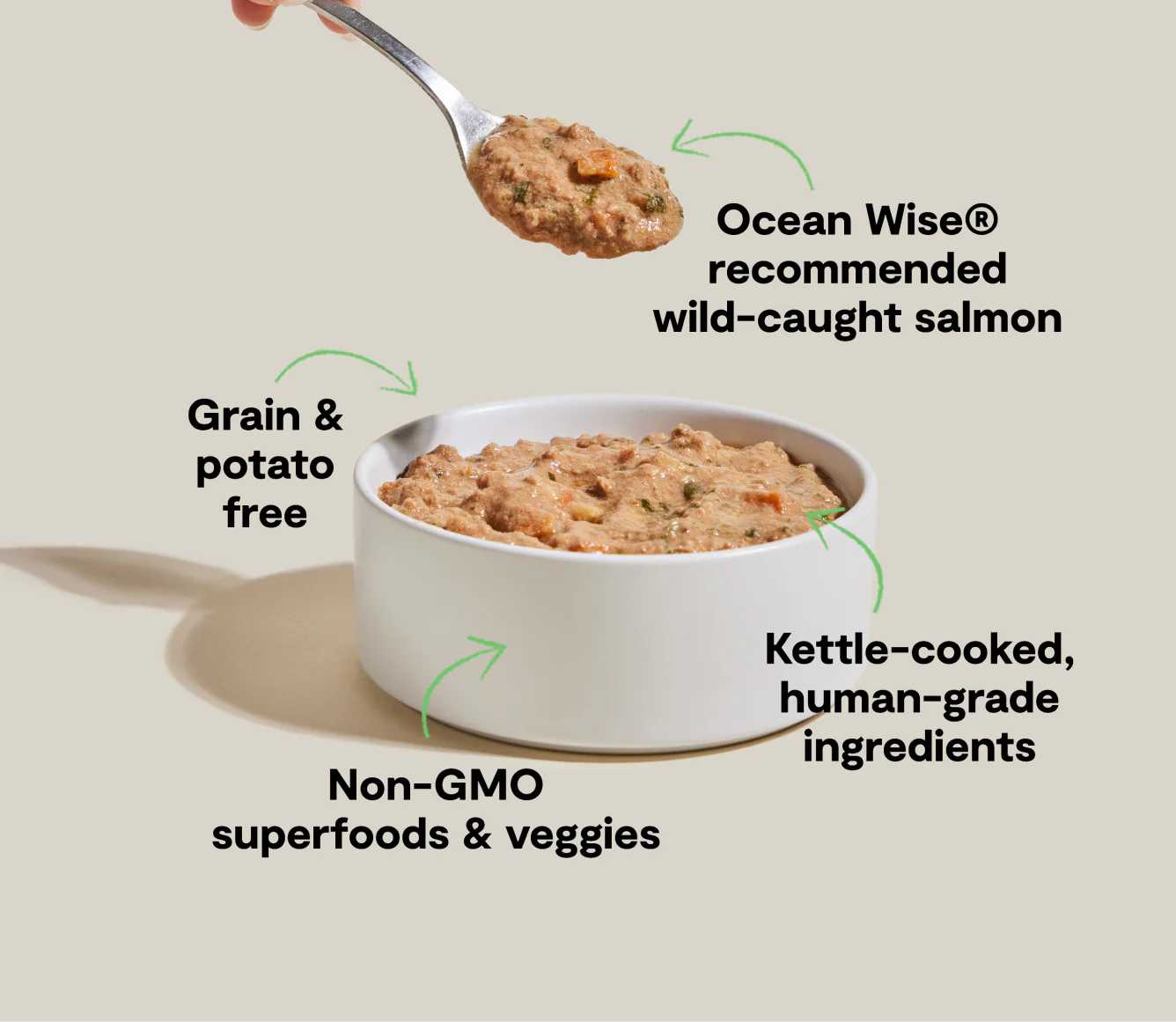 Open Farm- Wild-Caught Salmon Rustic Stew Wet Dog Food 12.5oz