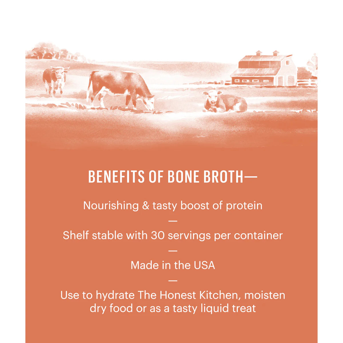 The Honest Kitchen - Instant Beef Bone Broth with Turmeric
