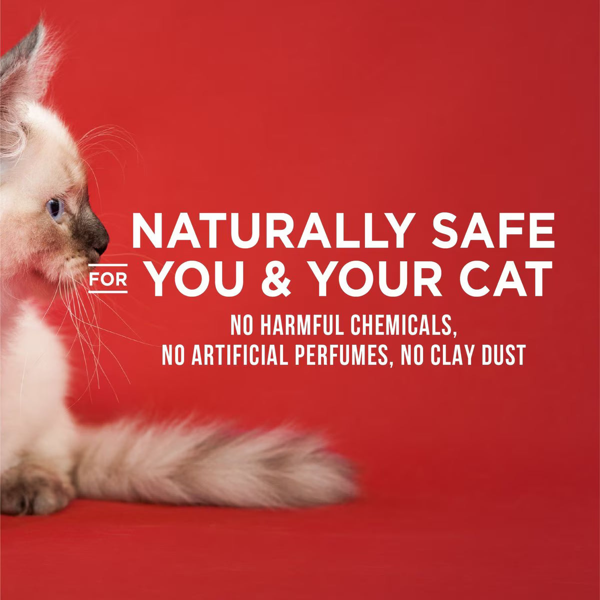 World's Best Multi-Cat Unscented Clumping Corn Cat Litter, 28-lb bag