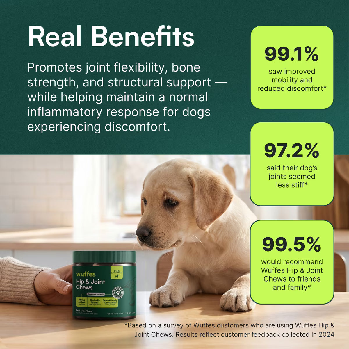 Wuffes Hip & Joint Chews- Small & Medium Breeds Under 65lbs (50 Chews)