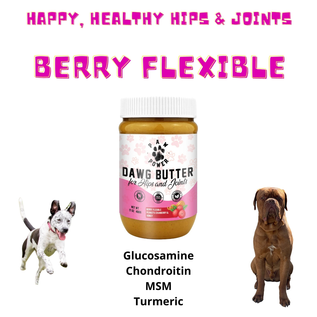 Paw Power - Dawg Butter Berry Flexible For Hips & Joints