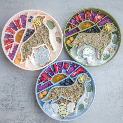 Golden Hour Slow Feeder- Sage