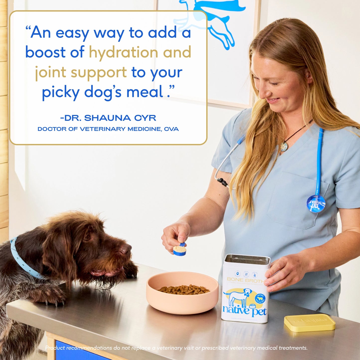 Native Pet - Beef Bone Broth Powder, Grain-Free Food Topper