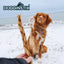 Dogginstix  Braided Lamb Collagen 12"