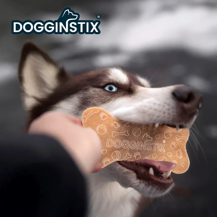 Dogginstix  Beef Collagen Collabone 6"
