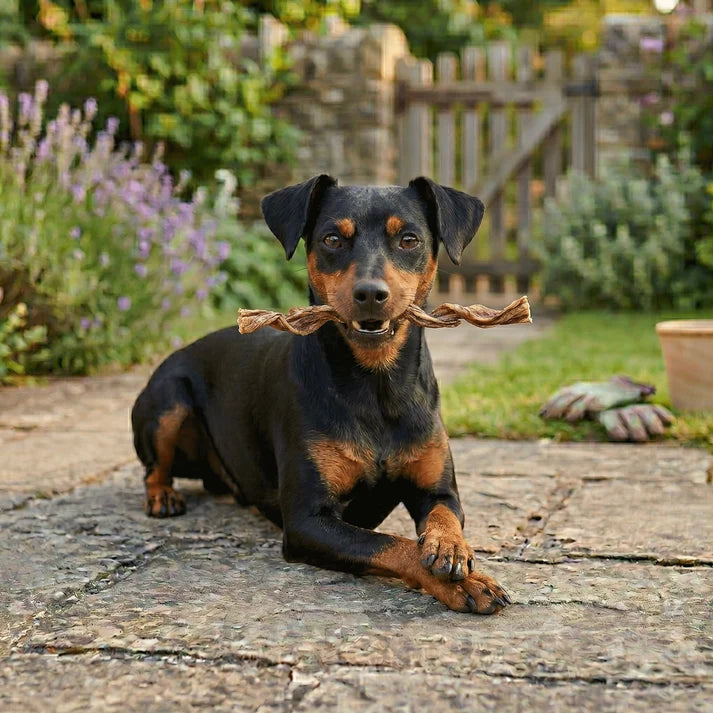 Dogginstix  Lamb Collagen Twist 12"