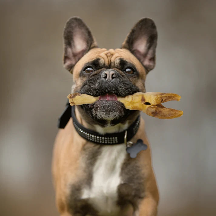 Dogginstix  Lamb Feet - Odor Free
