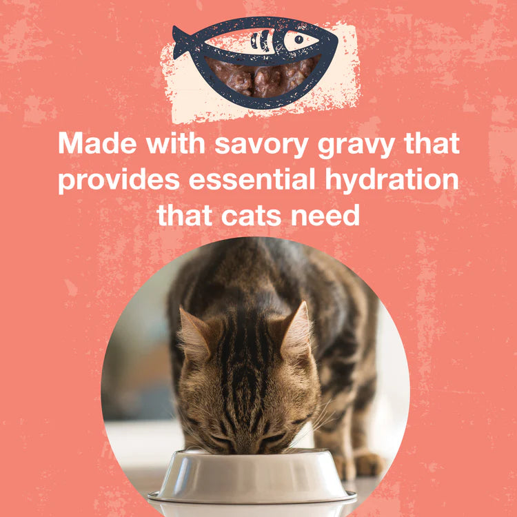 Koha- Poké Bowl Tuna & Salmon Entrée in Gravy for Cats