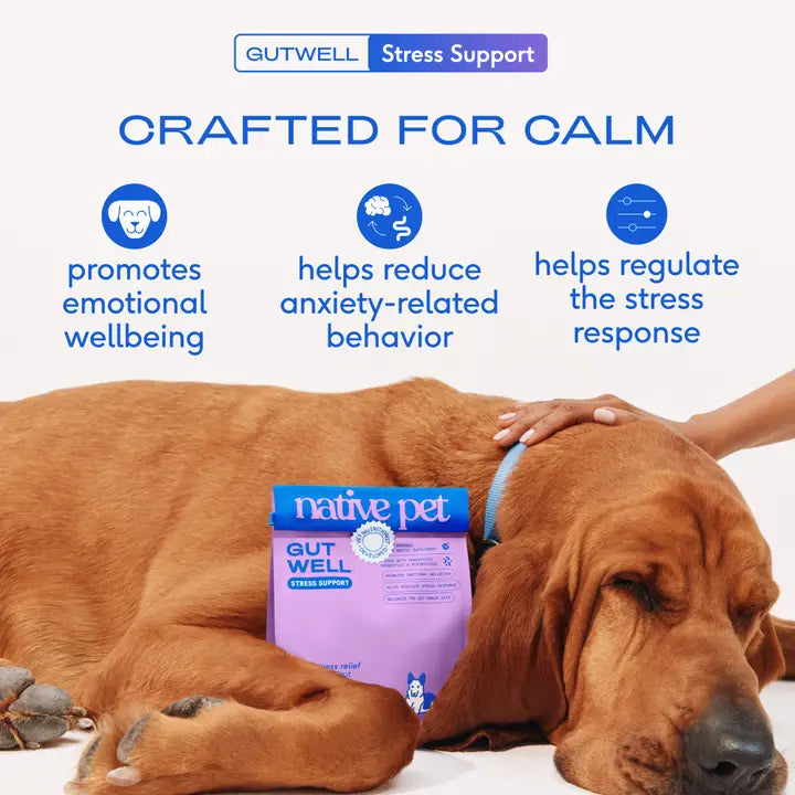 Native Pet Gutwell Stress Support, Stress Relief & Calming