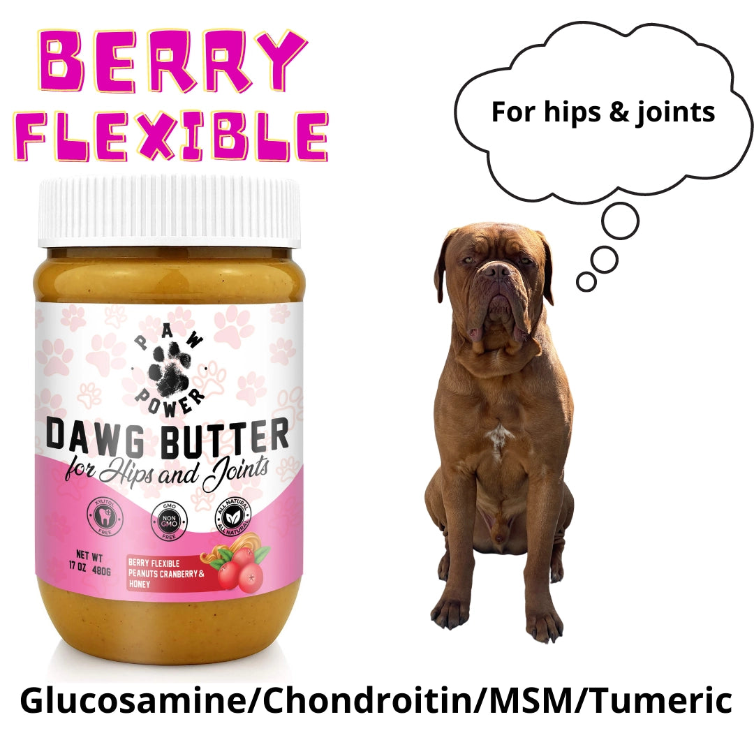 Paw Power - Dawg Butter Berry Flexible For Hips & Joints