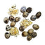 Savage Cat Dog & Cat Freeze-Dried Quail Eggs- 2oz