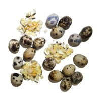 Savage Cat Dog & Cat Freeze-Dried Quail Eggs- 2oz