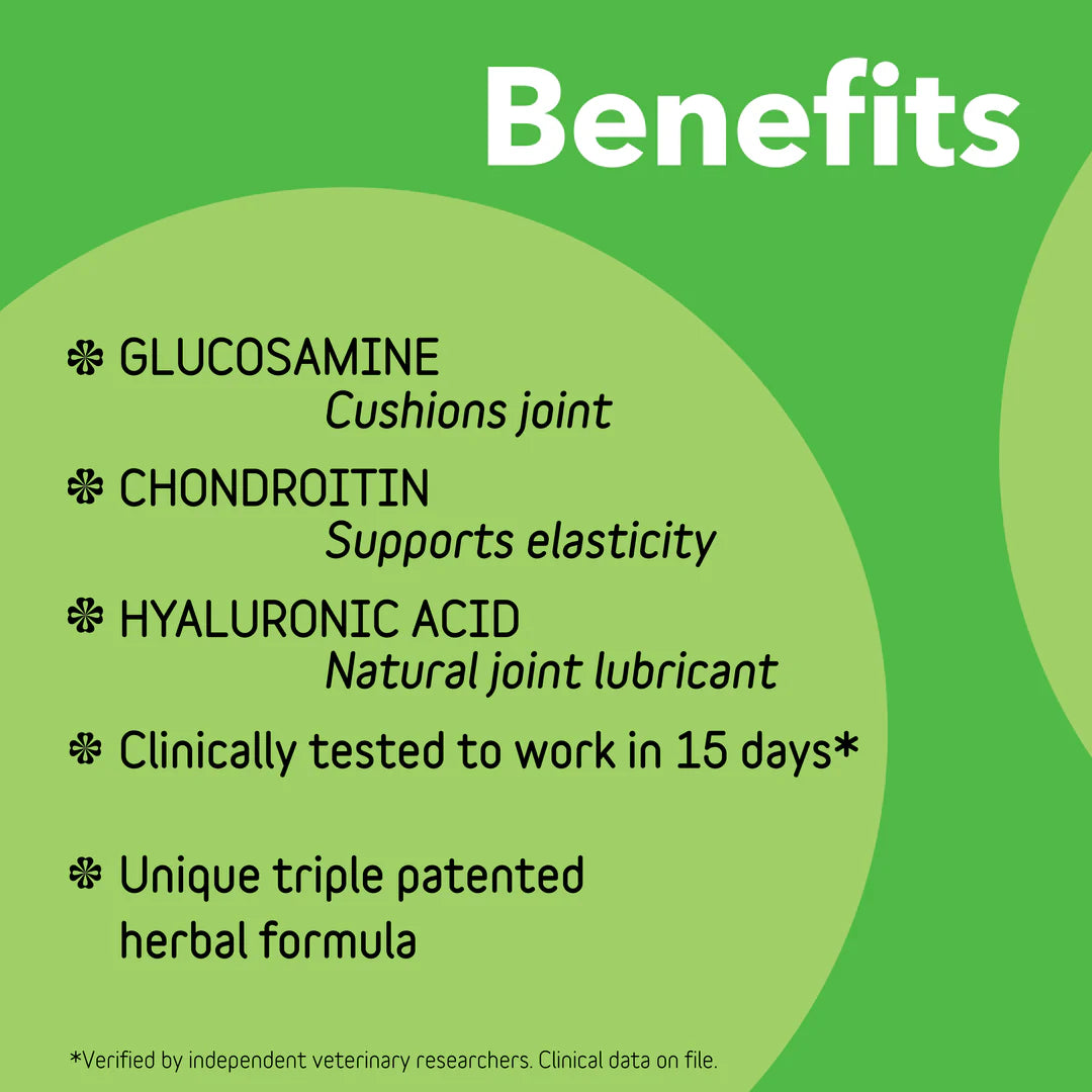 InClover Connection Hip & Joint- 12oz
