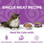 Koha Kangaroo Cat Food: Limited Ingredient Diet Kangaroo for Cats - 5.5oz Can