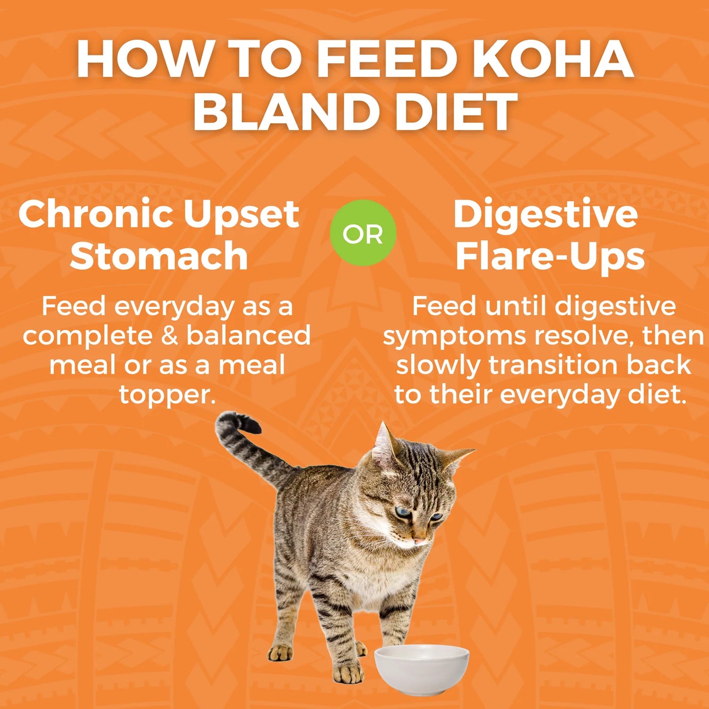 Koha Limited Ingredient Bland Diet Wet Food Chicken & Rice Recipe for Cats - 2.8oz Pouch