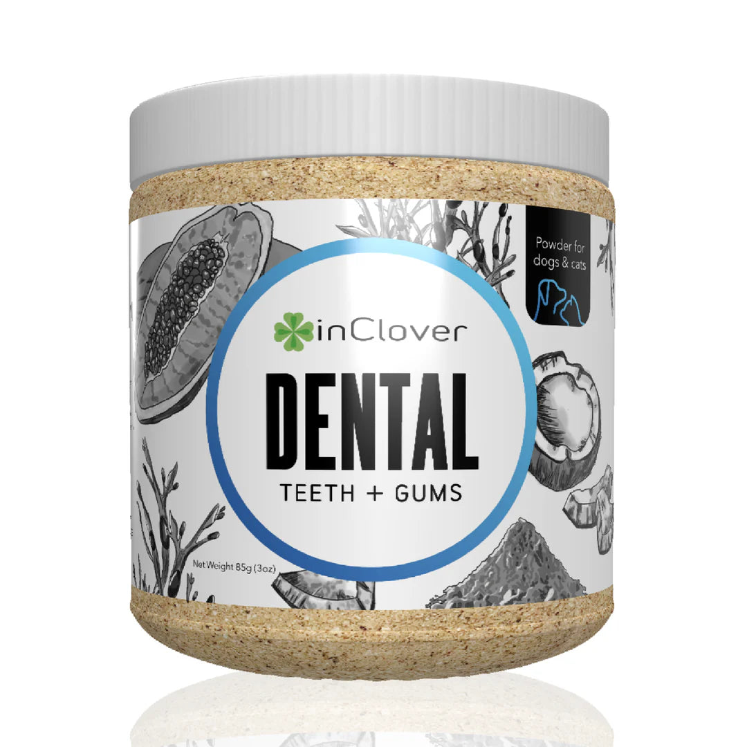InClover Dental Supplement
