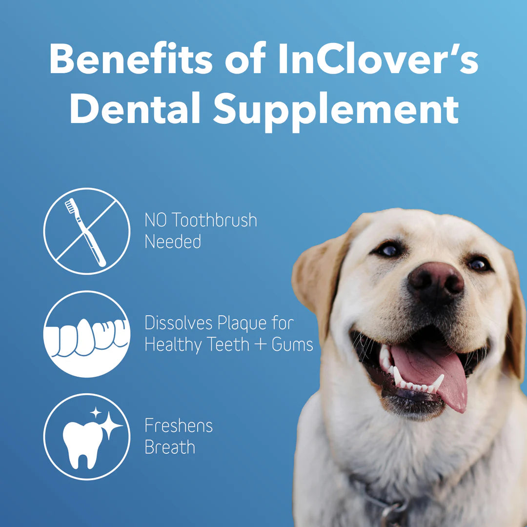 InClover Dental Supplement