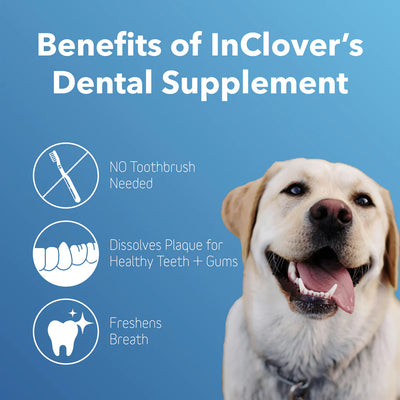 InClover Dental Supplement