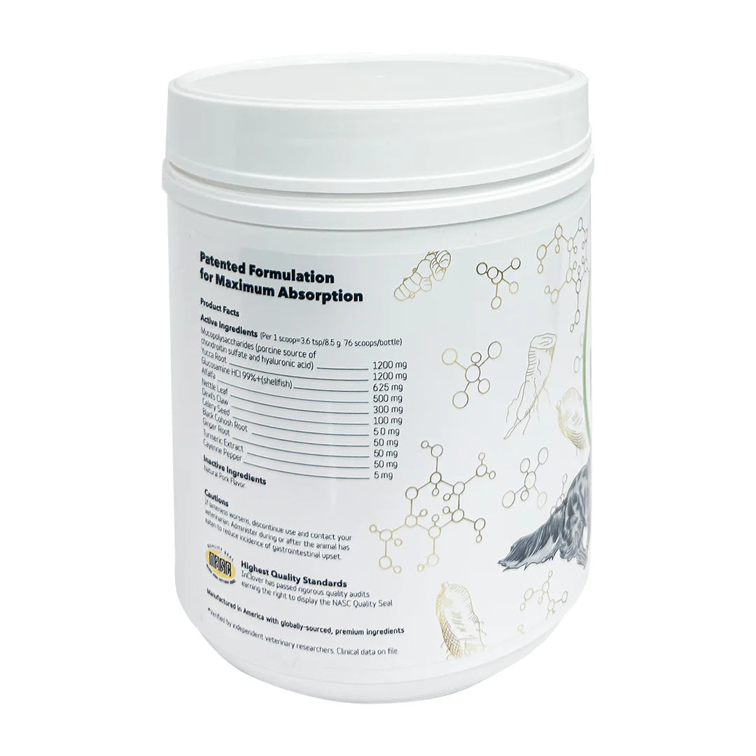 InClover Connection Hip & Joint- 12oz