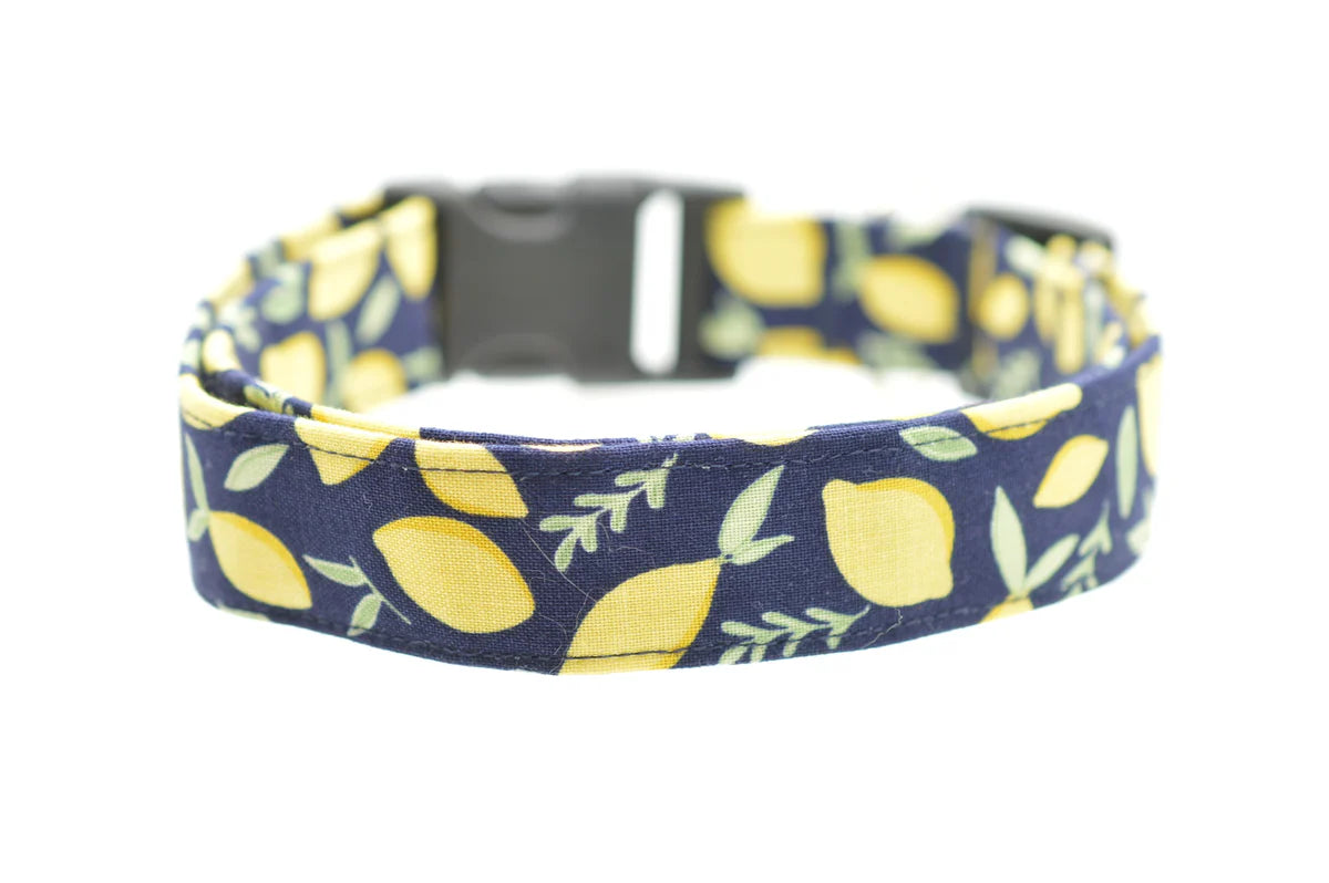 Dog Collar World Lemons Collar