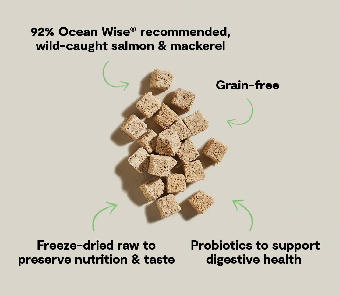 Open Farm- Salmon & Mackerel Kitty Cube Treats 1.5oz