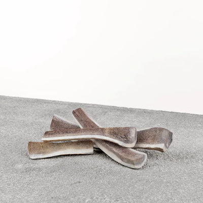 Primal - Dog Elk Antler Large Split (1) Single Antler