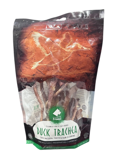 Duck Trachea