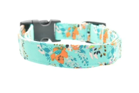 Dog Collar World Teal Floral Collar