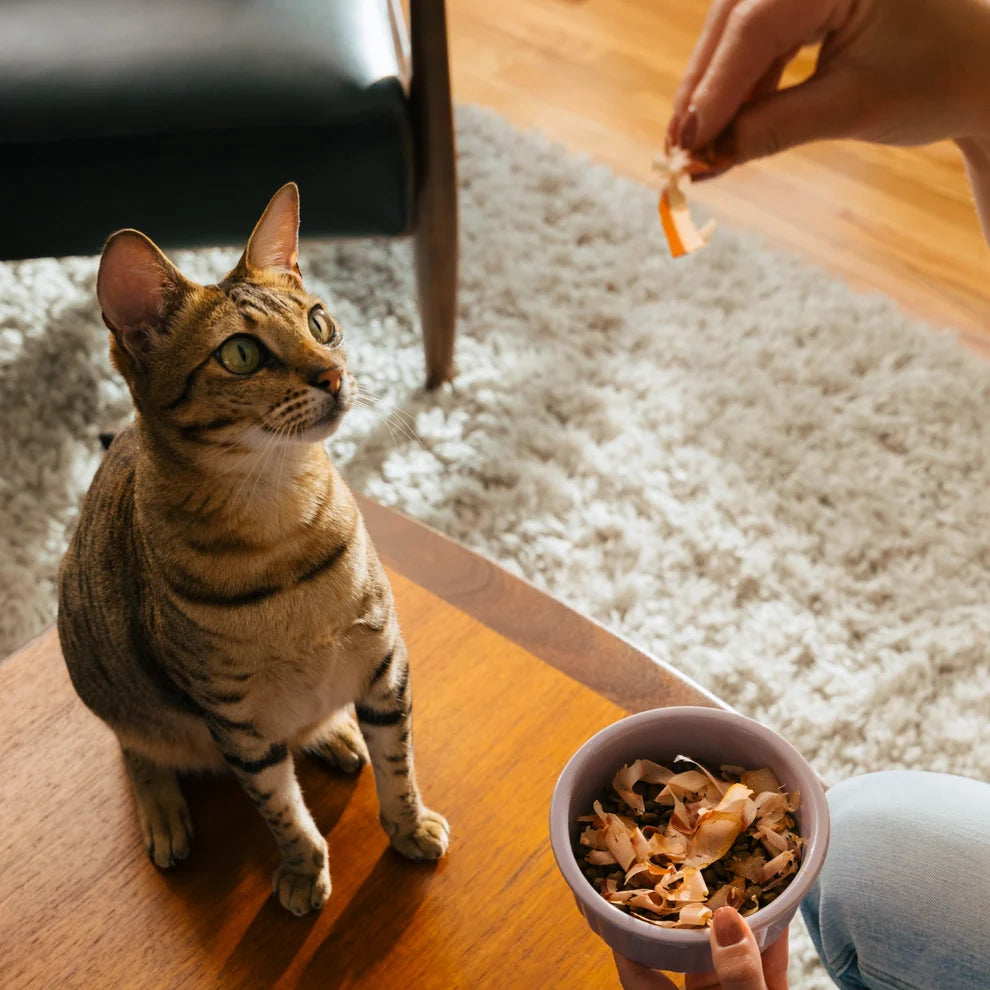 Earthly Pets Cat Sushi Bonito Flakes- 0.7oz