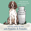 Himalayan Pet Supply - Yogurt Sticks (Apple Honey)