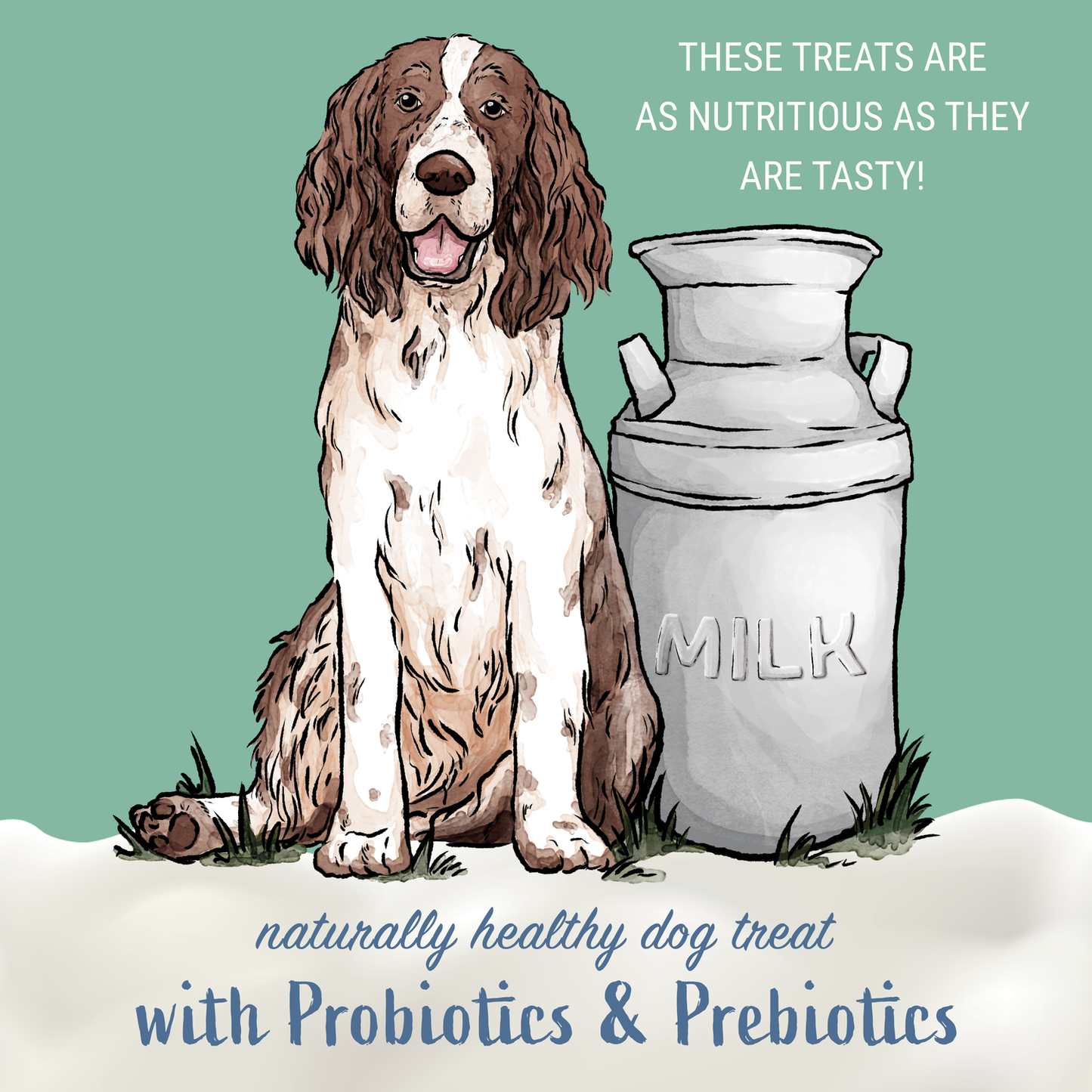 Himalayan Pet Supply - Yogurt Sticks (Apple Honey)