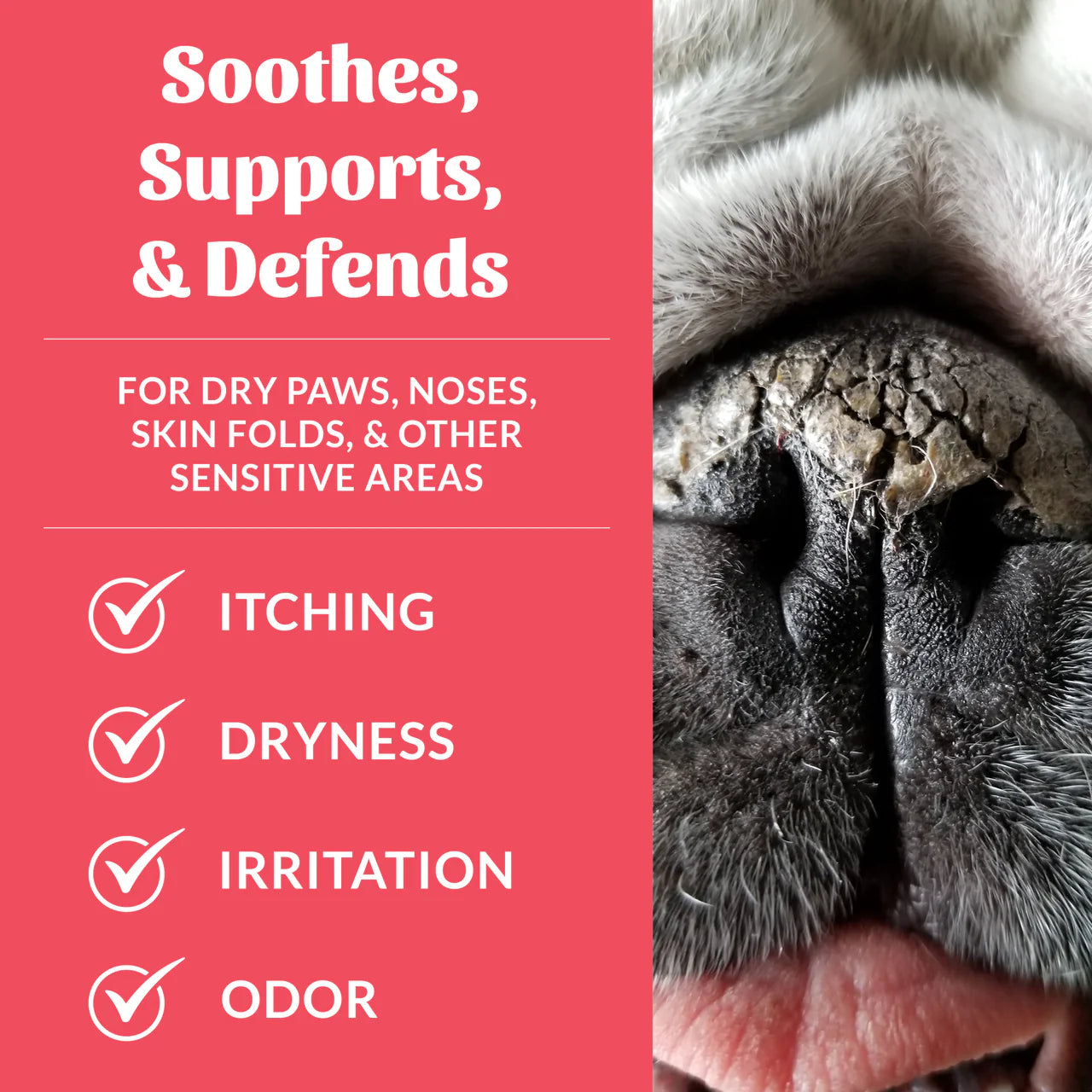 Skouts Honor- Prebiotic Pet Balm 2oz