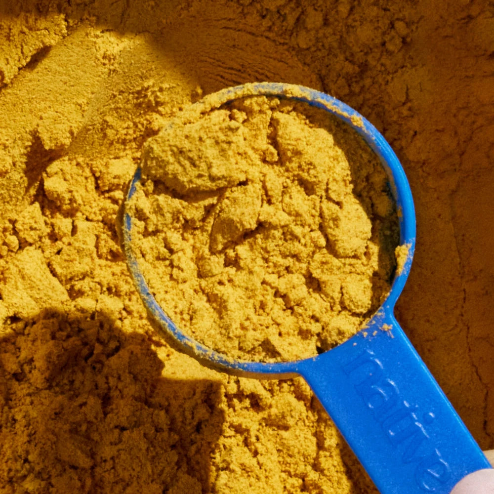 Native Pet - Organic Pumpkin Fiber Powder, Digestive Supplement For Dogs 8oz