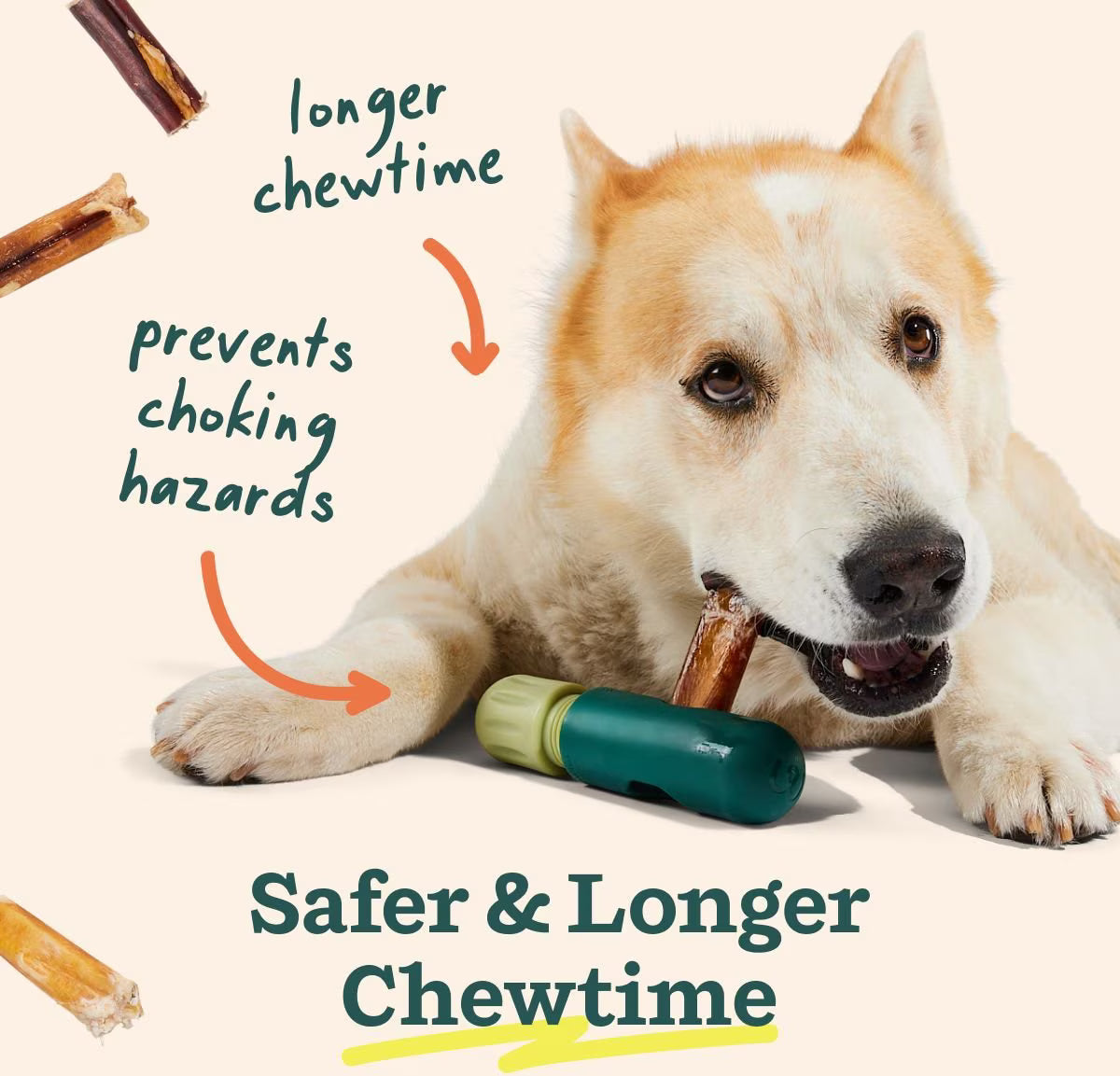 Woof Bully Safe