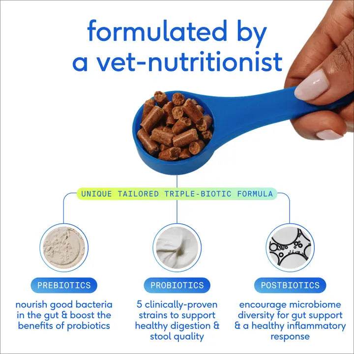 Native Pet Gutwell Power Poop Digestion Support Supplement