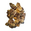 Savage Cat Dog & Cat Freeze-Dried Assorted Rabbit Organs- 2oz