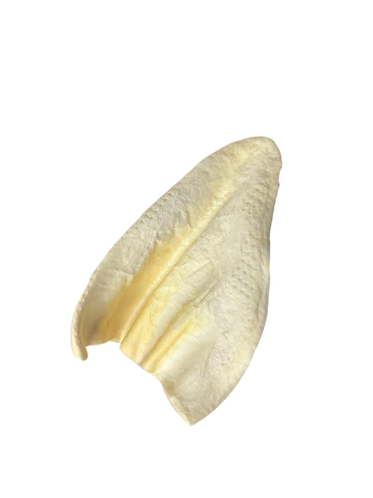 Cow Ear- Vanilla