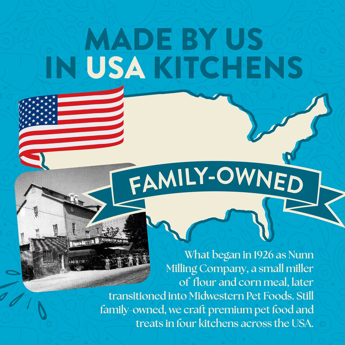 Earthborn Holistic Wild Sea Catch Salmon & Vegetables Grain-Free Dry Cat Food, 12.5-lb